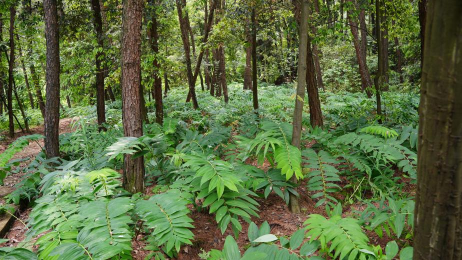 1777451094509072530.png 2.png