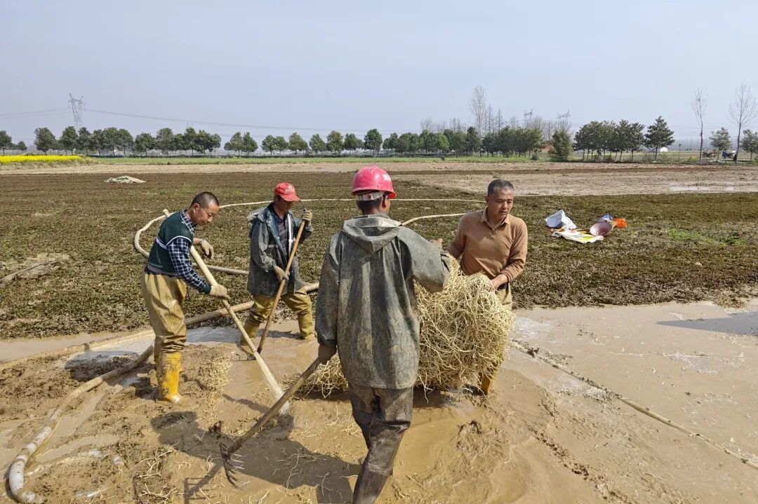 1777451128506078457.jpg 3.jpg