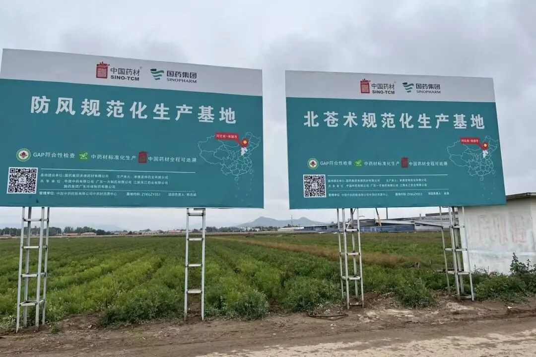 1777451272506066346.jpg 11.jpg