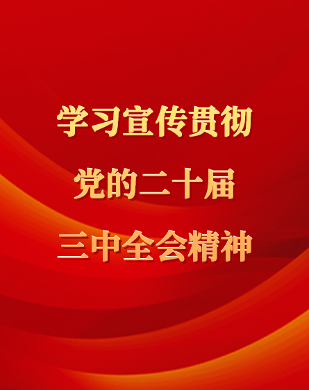 学习宣传贯彻党的二十届三中全会精神